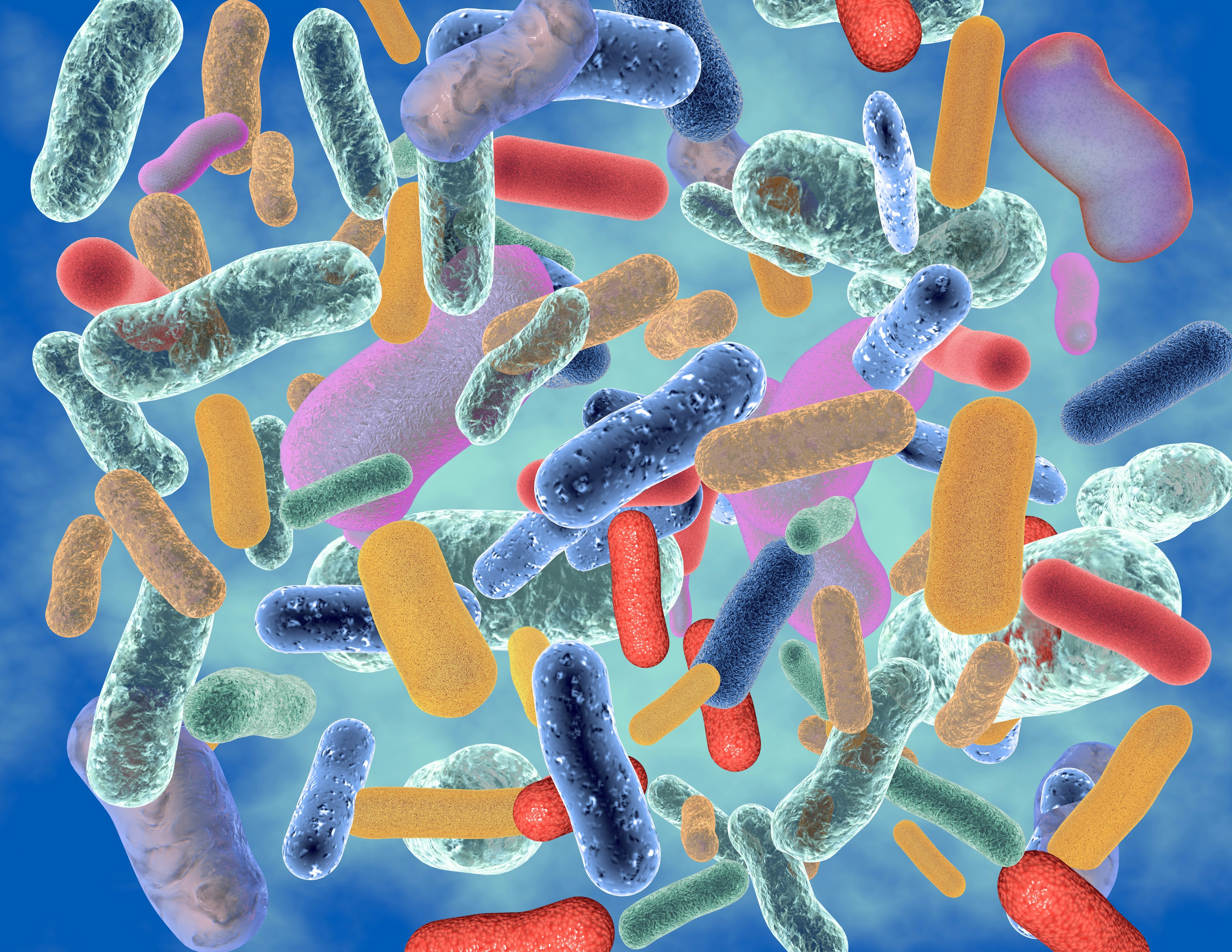 Colorful microscopic image of bacteria