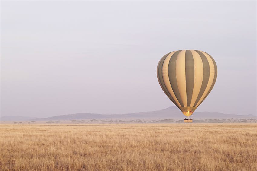 A balloon rises into the early morning sky above the Serengeti's savannah.