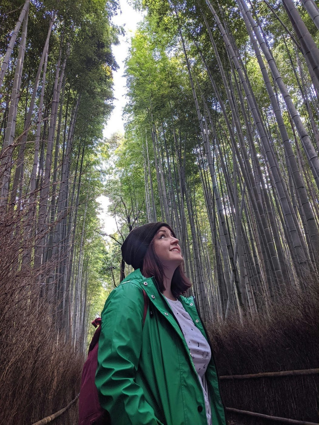 Young woman in the bamboo forest, Japan