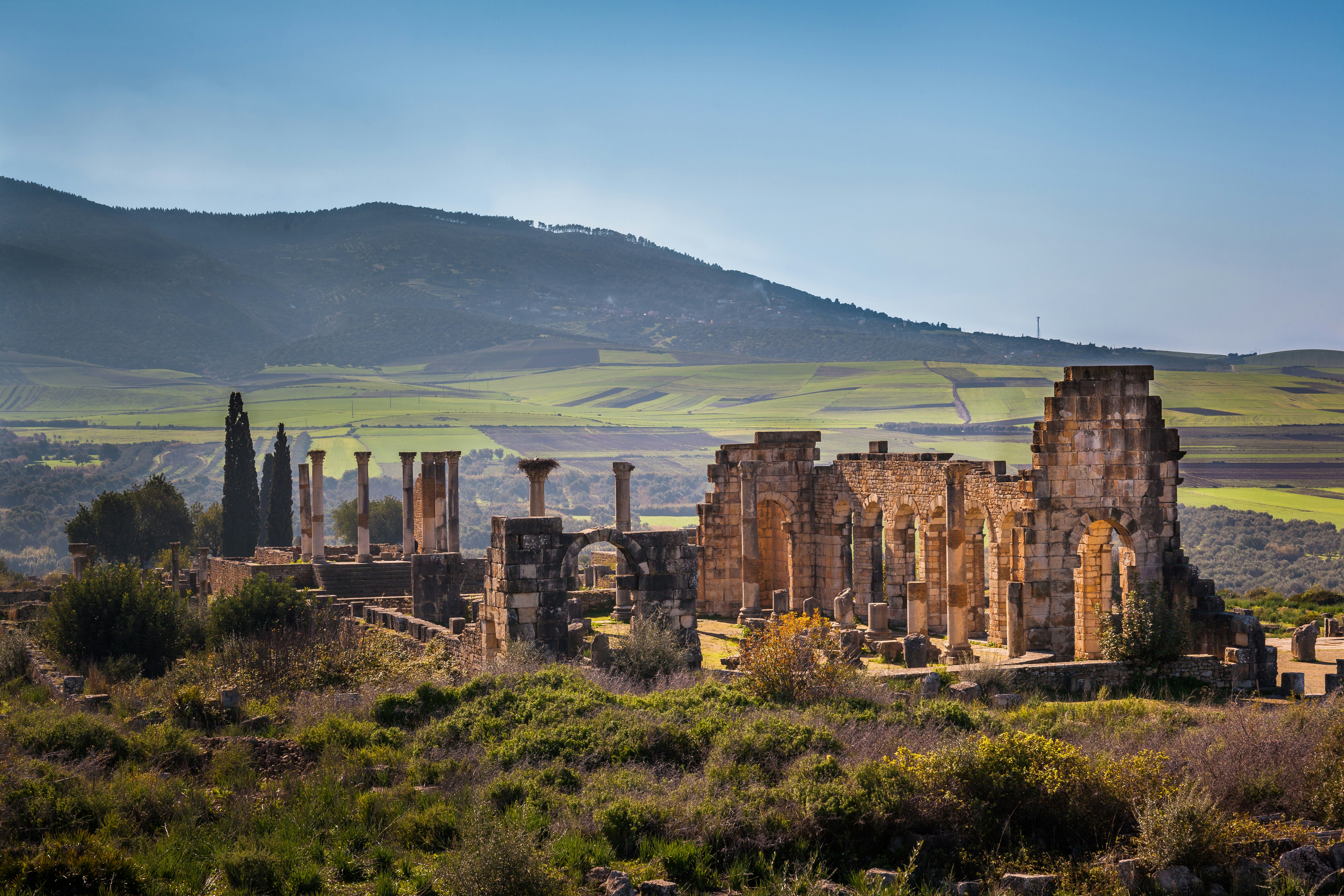 The ruins of the ancient Roman basilica of Volubilis sit amidst green and bronw scrub against a background of light green rolling farmpland and the long sloping line of a mountain in the background