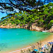 The Bay of Aiguablava in Begur, Spain. Sunbathers are partially obscured by the foliage of the trees surrounding the sandy cove, beside clear turquoise water.