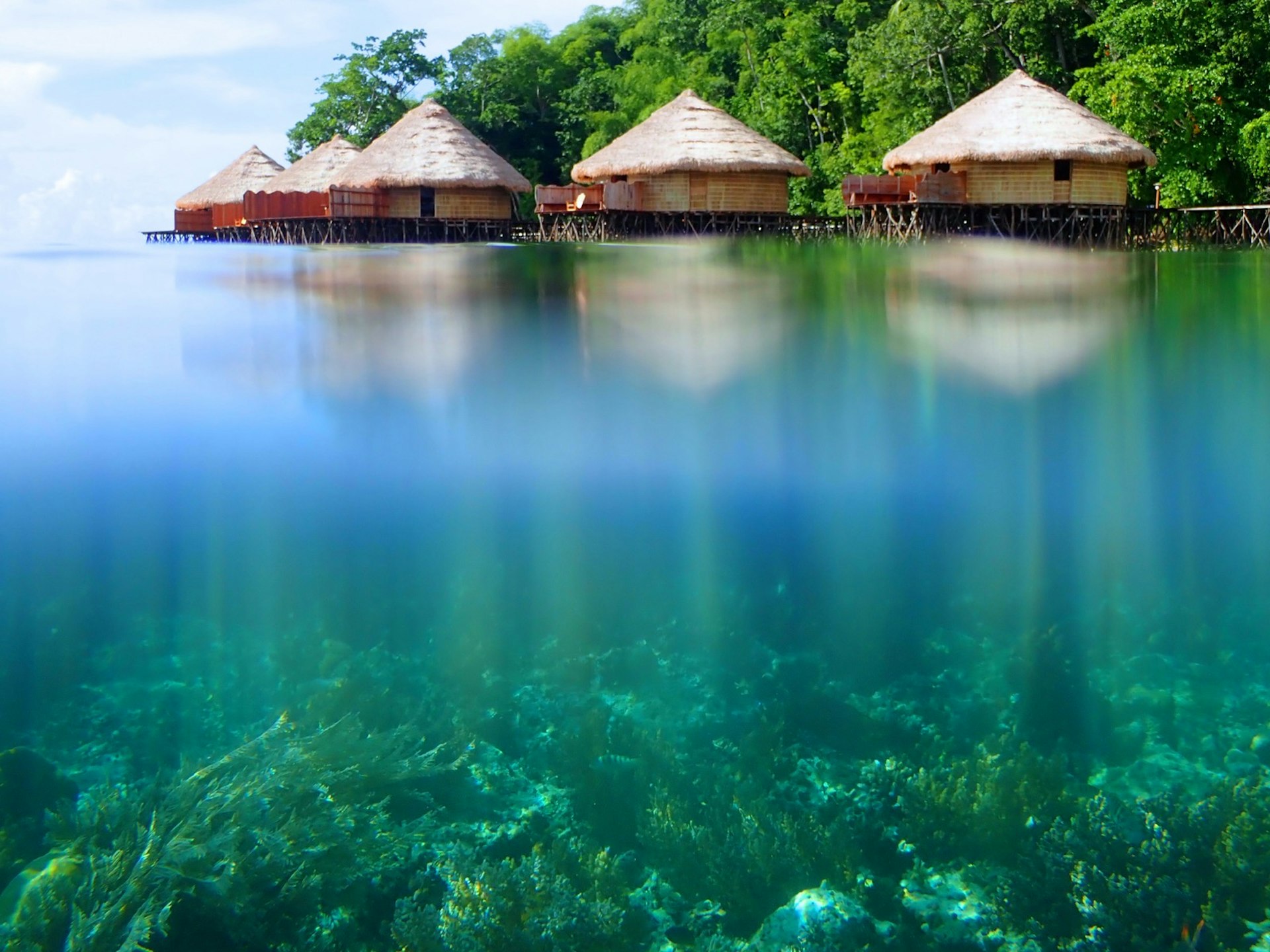A row of thatched-roof wooden structures line the edge of the ocean. Beneath the water you can see coral; eco luxury resorts