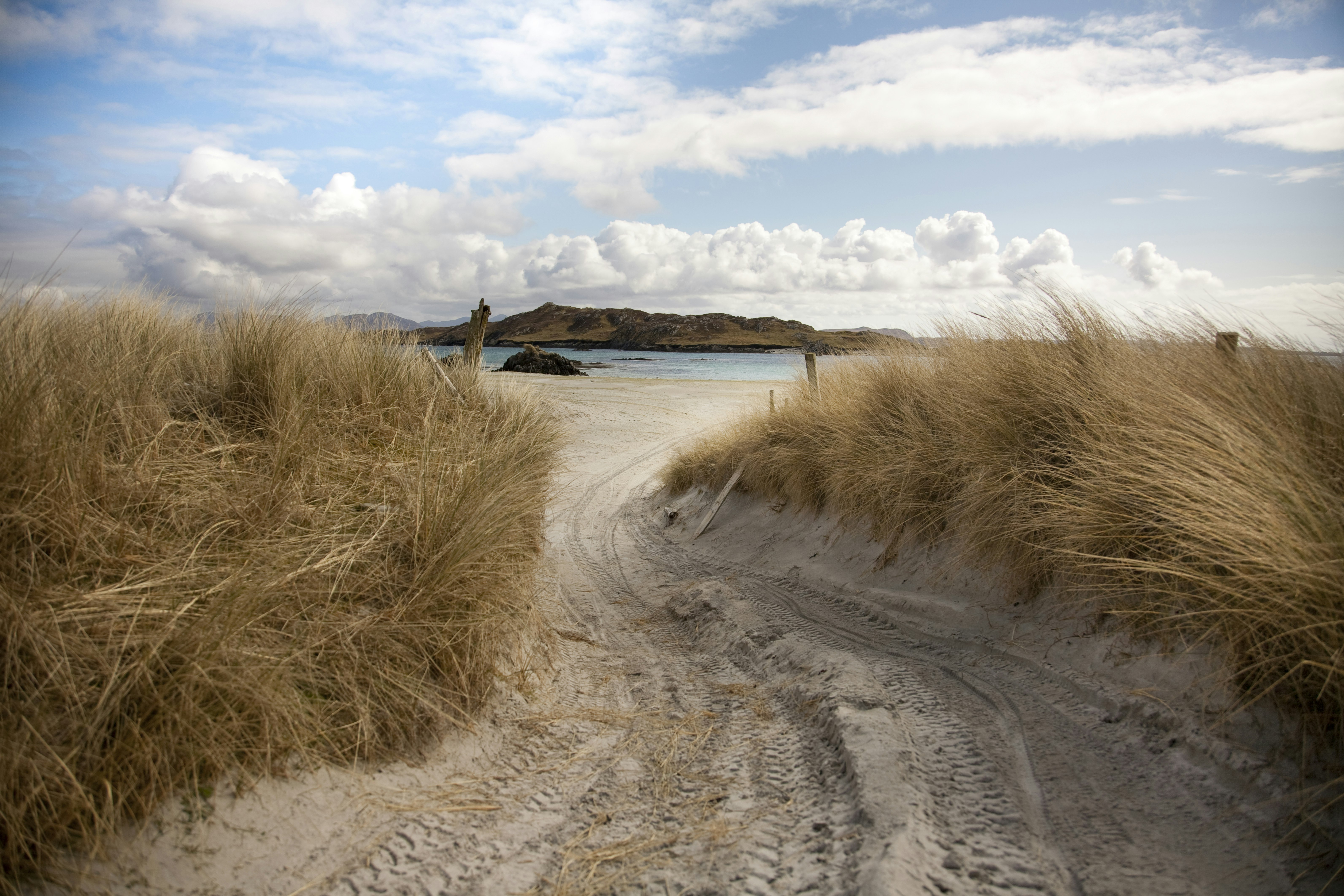 A sandy track surrounded by dry bushes leading to a beach.