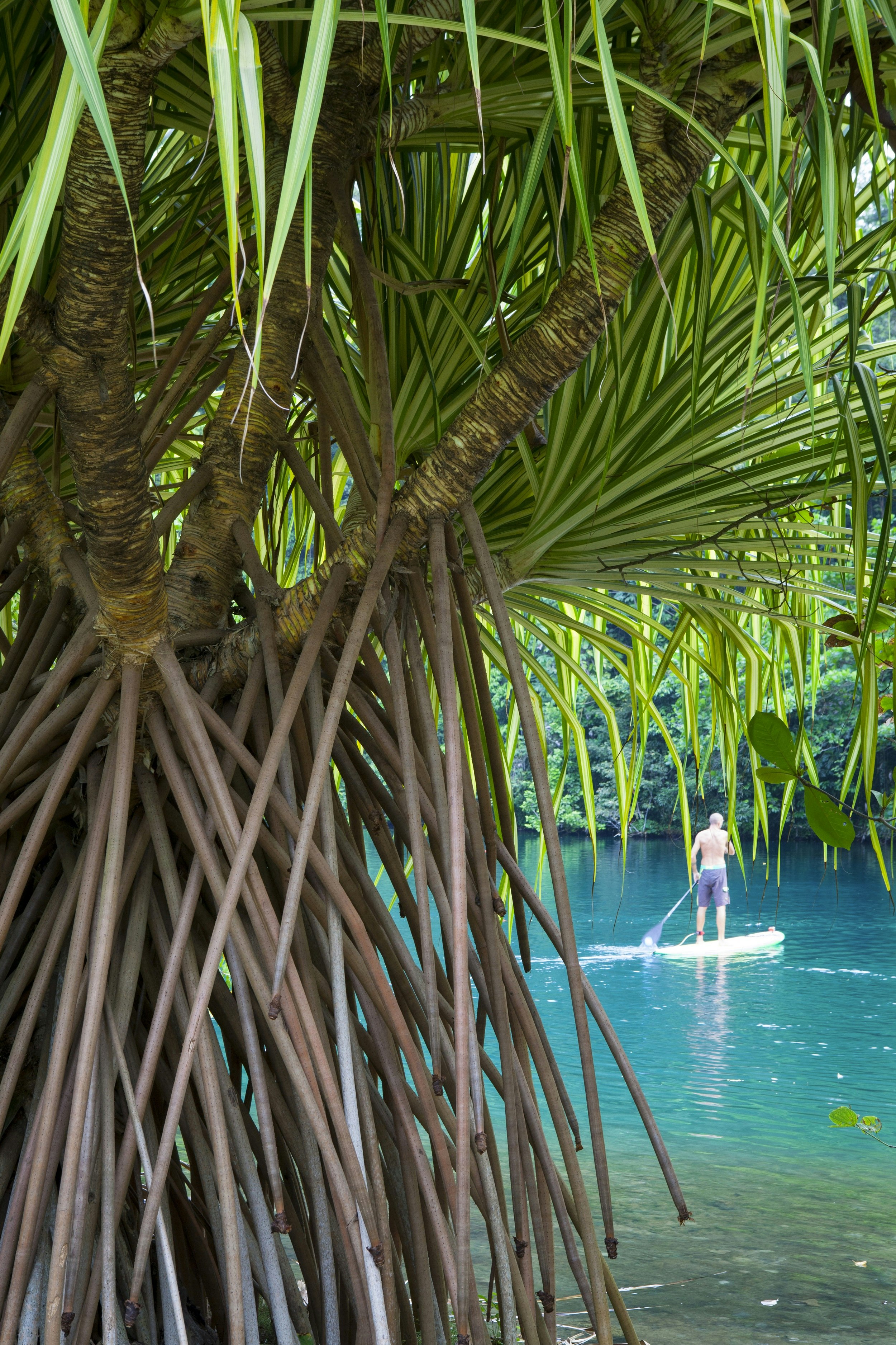 A man in a swimsuit paddling a stand-up paddle board in the Blue Lagoon.