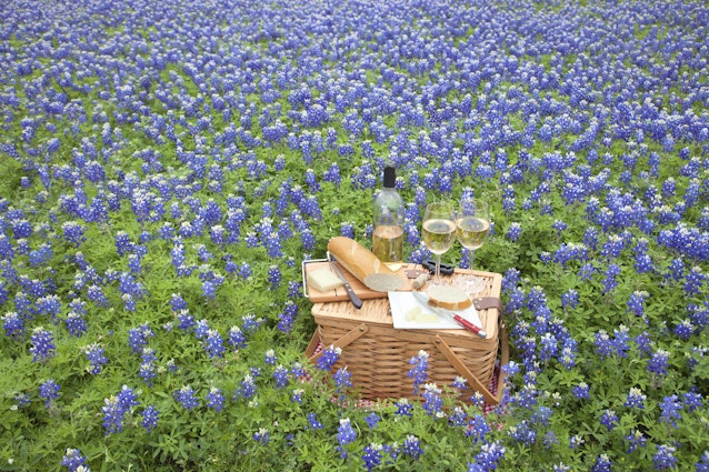 bluebonnets_picnic_wine.jpg