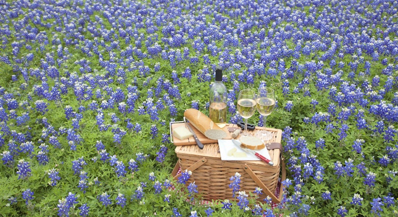 bluebonnets_picnic_wine.jpg