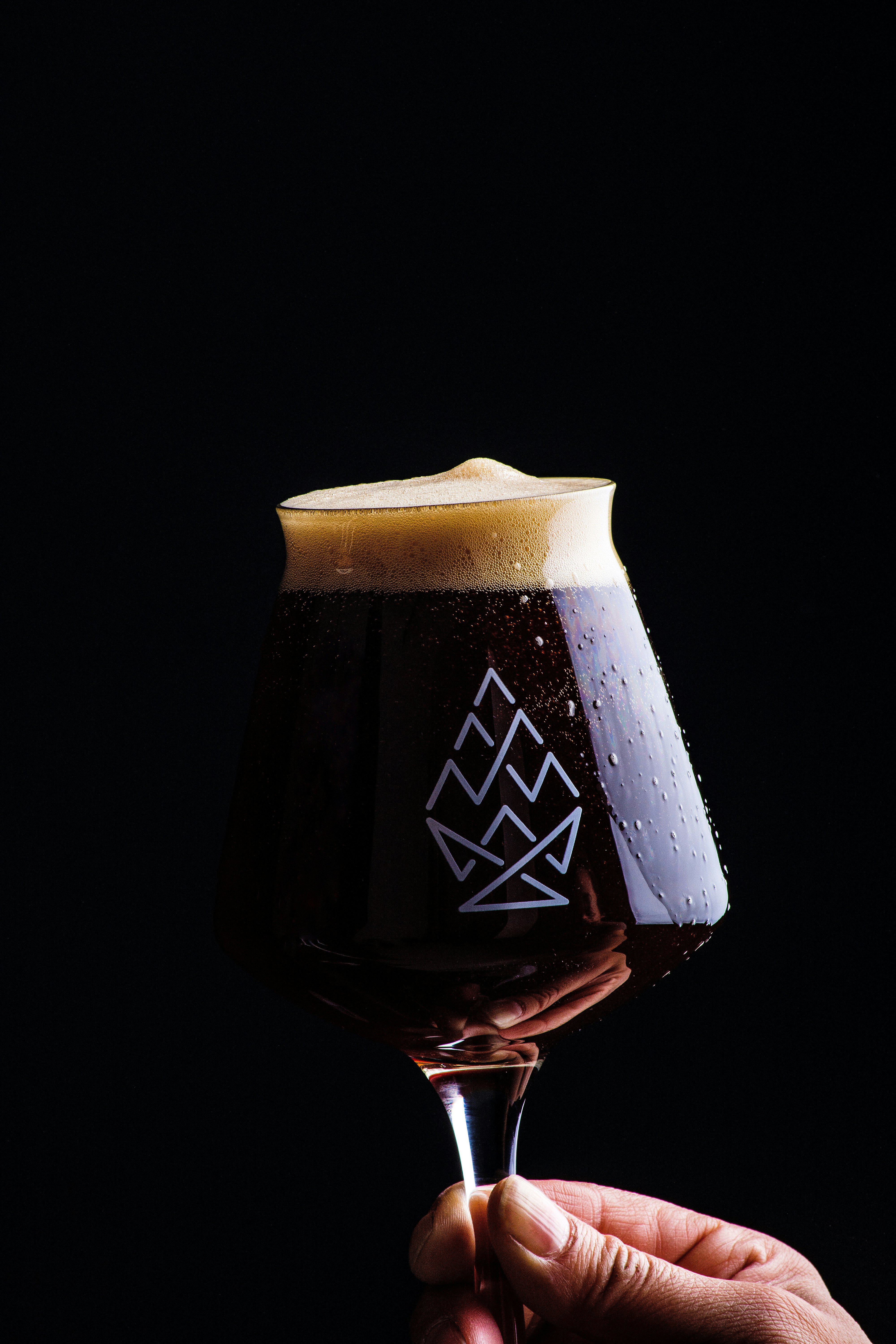 A hand holding a glass of dark beer