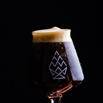 bow and arrow-single use.jpg