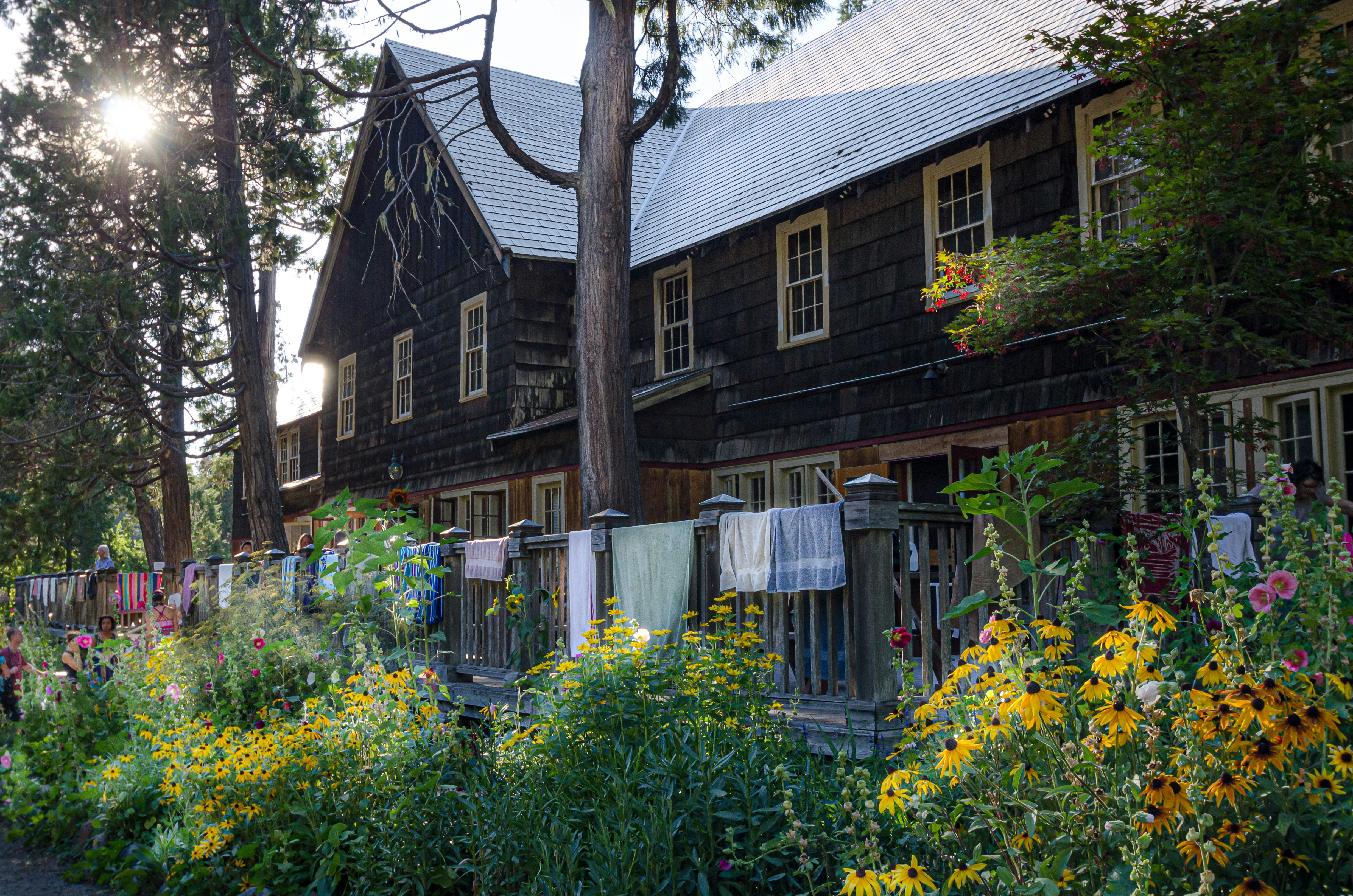 The wood-shingled and charmingly weathered exterior of Breitenbush Hot Springs lodge, with towels from bathers draped in front amid shocks of yellow wildflowers, the sun flaring through the trees in the upper left of the frame.