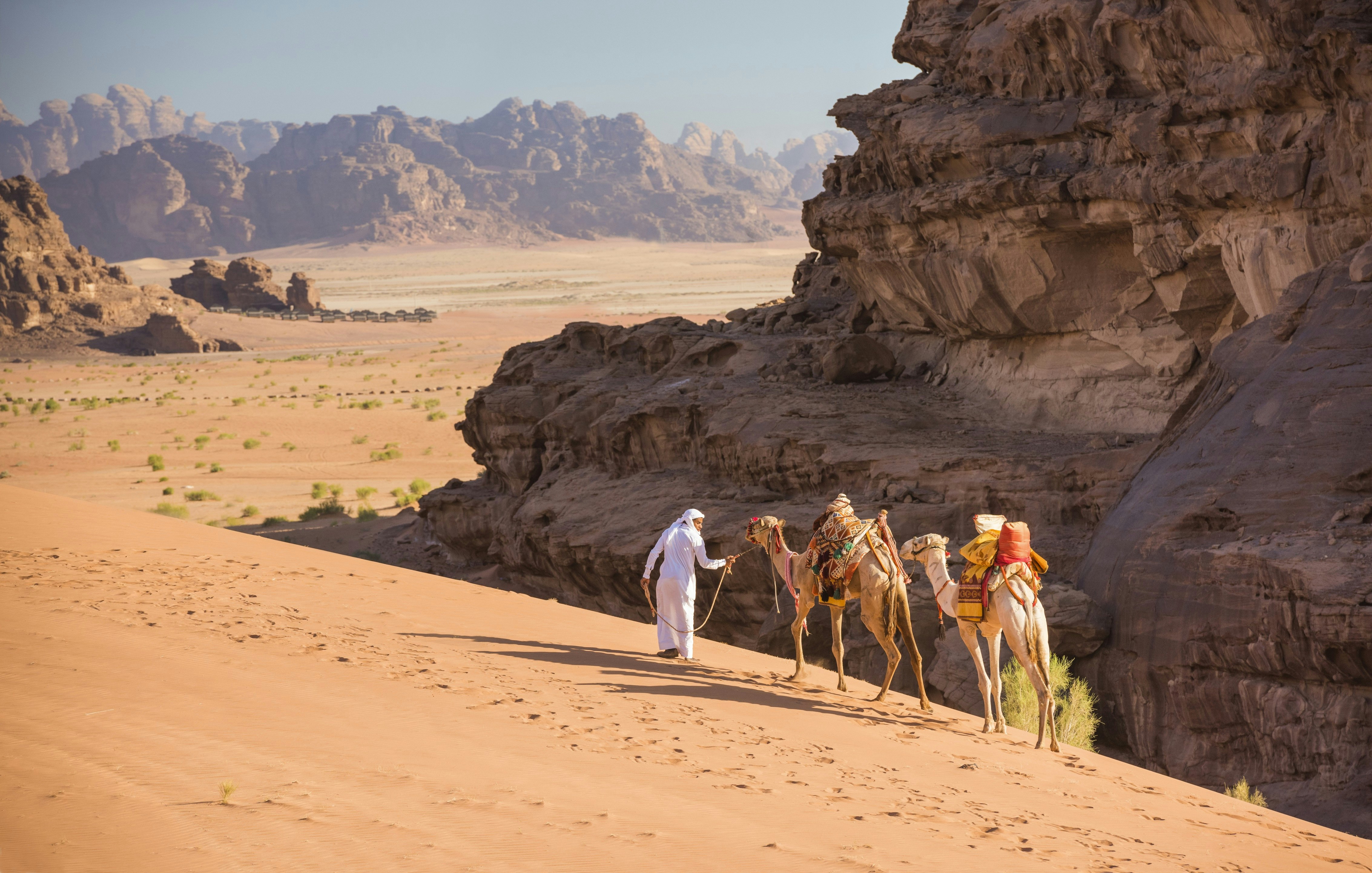 A Bedouin guide leads his two dromedary camels over the tall dunes of Wadi Rum; in the background large rocky mountains rise out of the sandy desert floor.