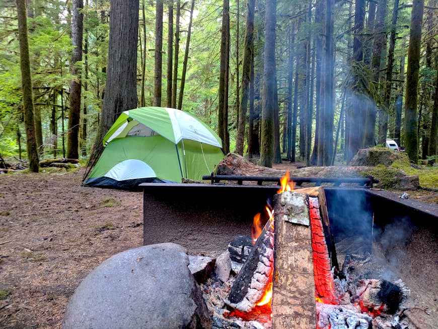 Ett grönt tält ligger inbäddat bland höga träd beströdda med mossa, tillbakadraget från en brand i en metallinhägnad på en camping i Washington