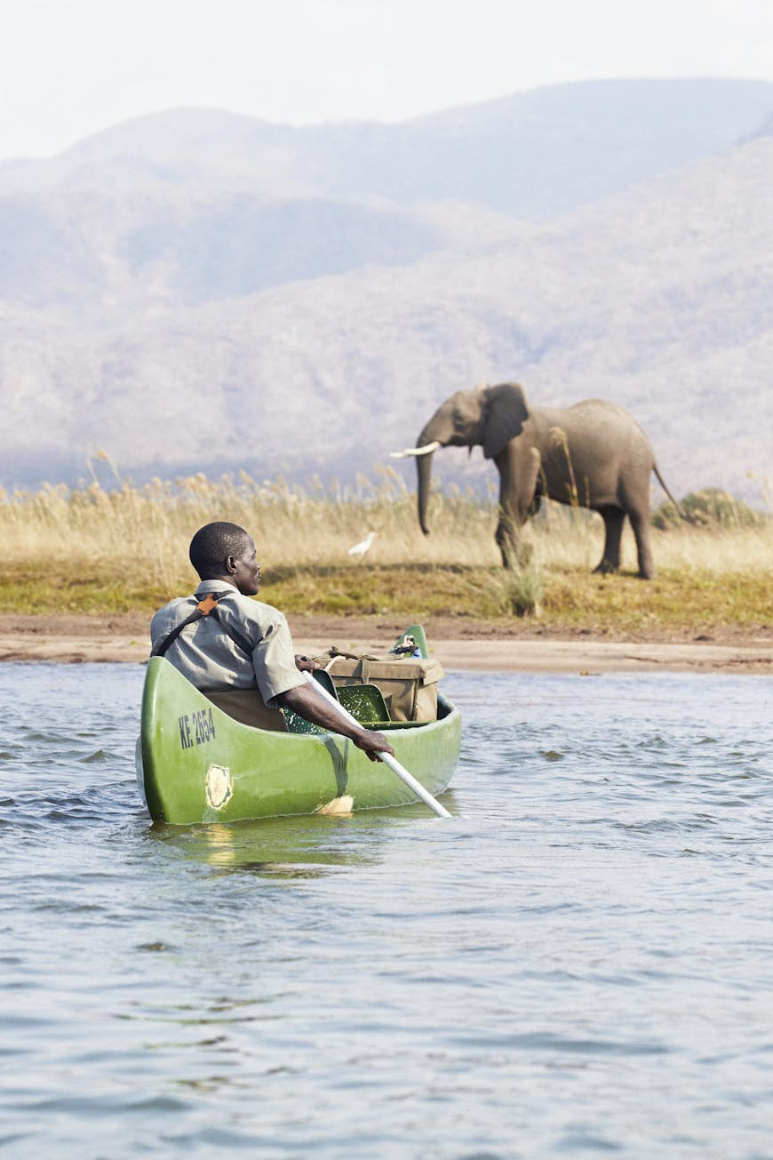 A safari guide sits in a canoe on the Zambezi, with a large elephant on the bank in front of him.