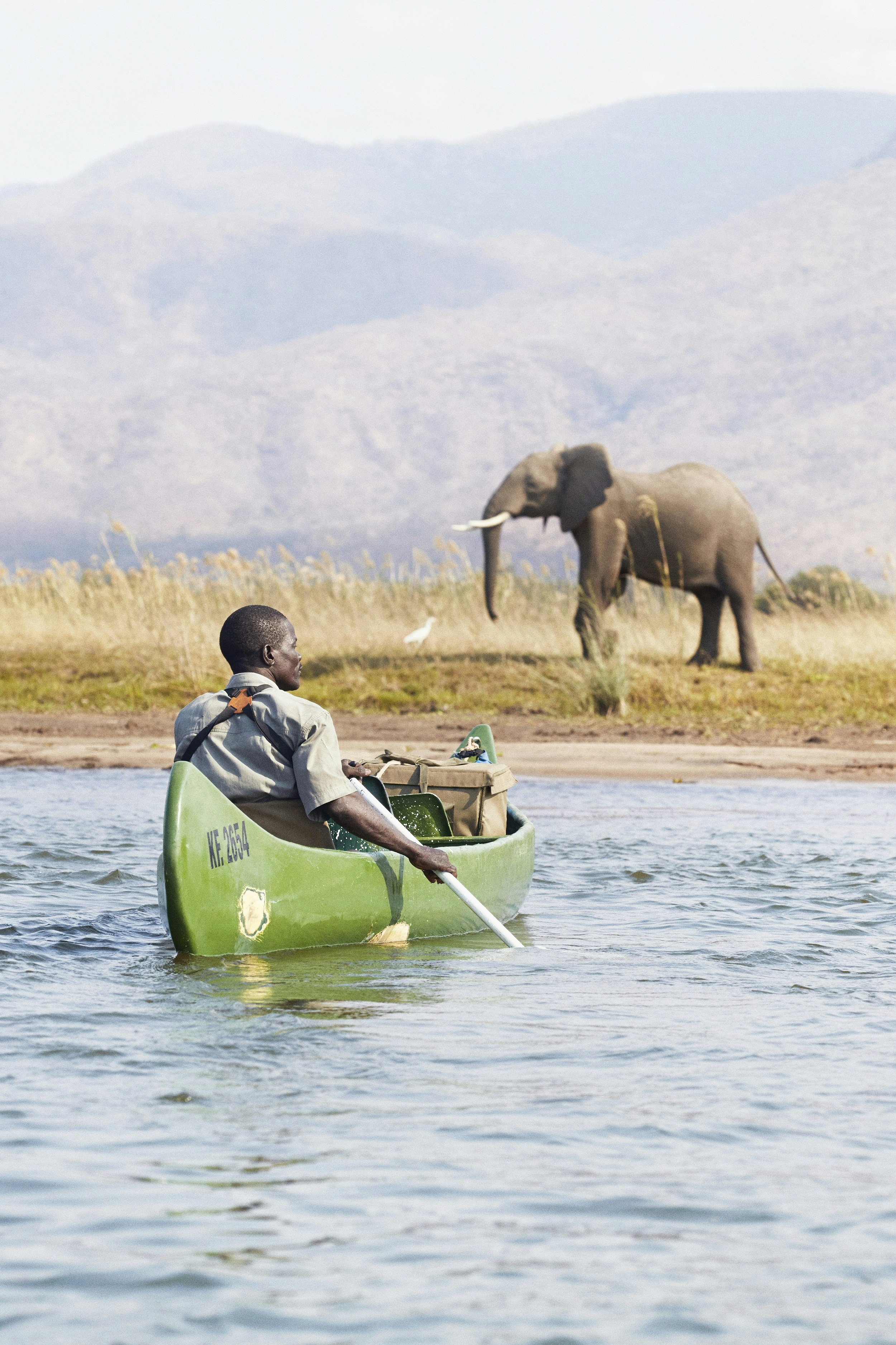 A safari guide sits in a canoe on the Zambezi, with a large elephant on the bank in front of him.