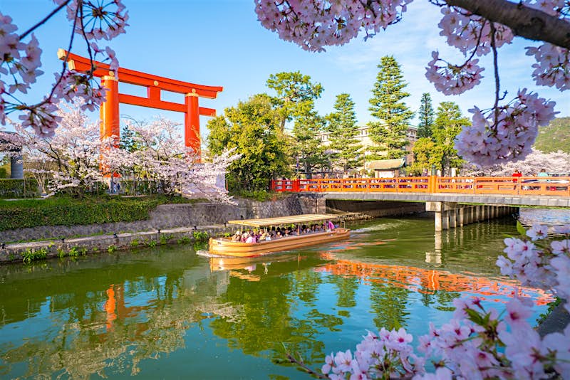 A boat floats down a green river; there's a red bridge across the water and a Japanese gate in the background. The blossom trees are blooming with pink petals.