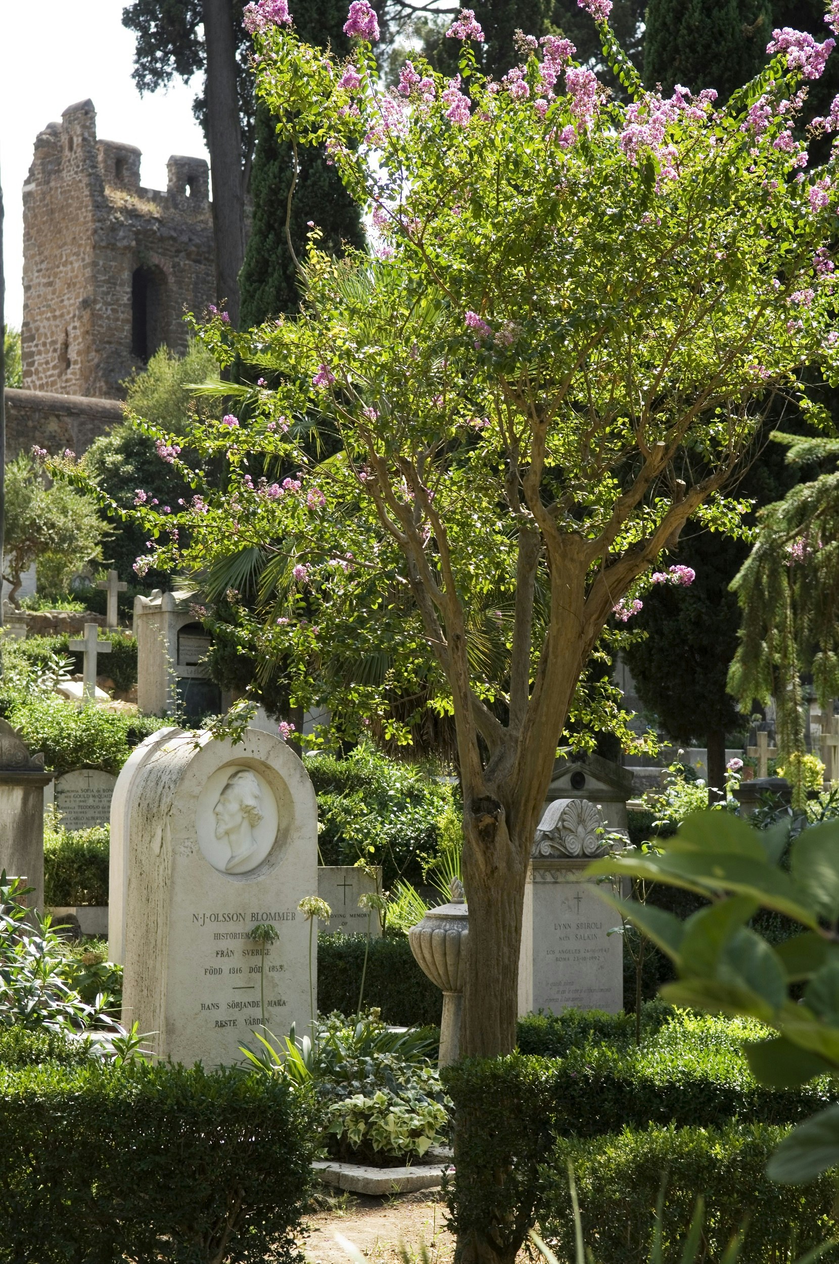 Lush trees and shrubs are planted in between marble headstones in a cemetery. A ruined building lies beyond the cemetery walls.