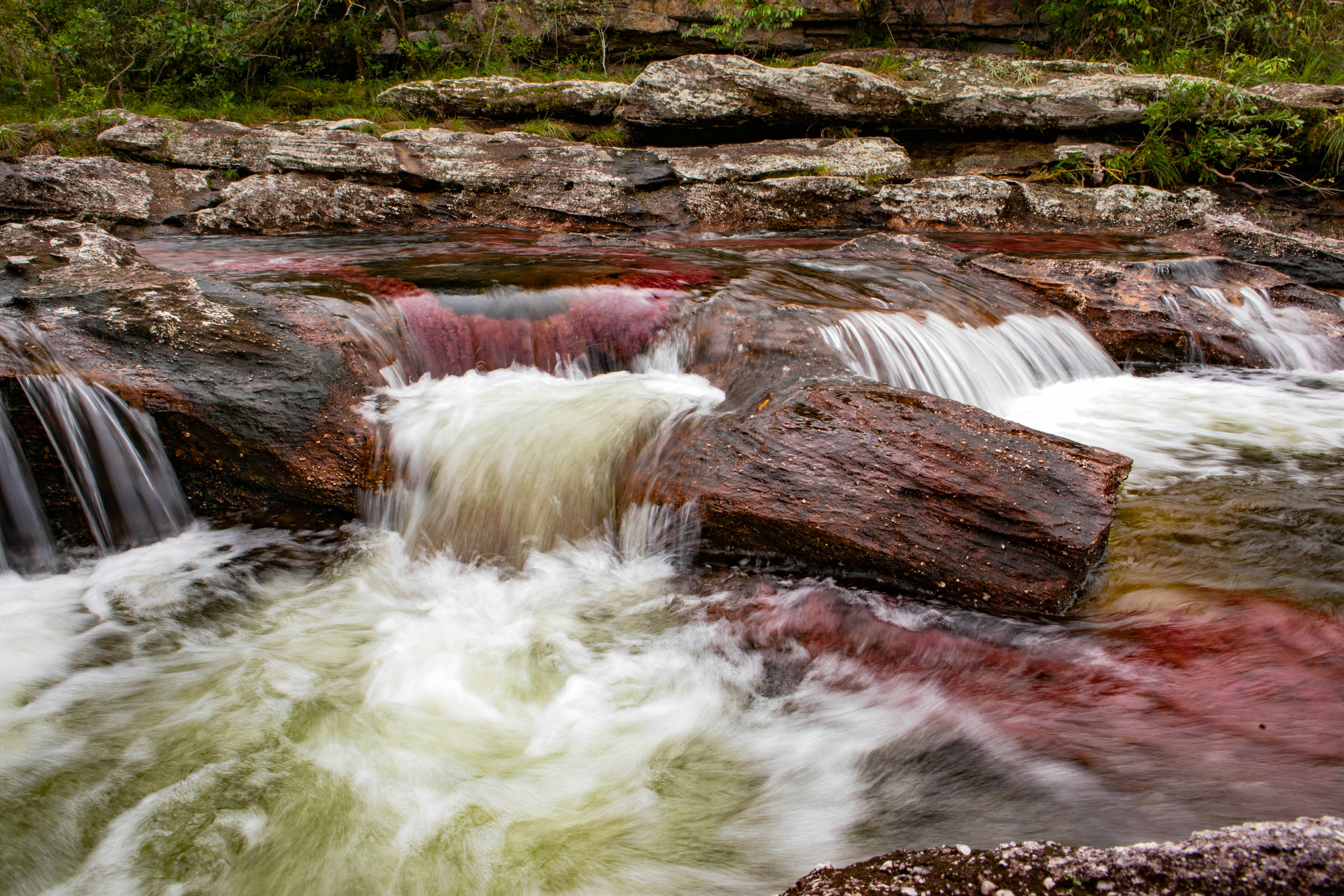 A small waterfall on the Cano Cristales River churns white and red with algae, which also stains the dark rocks flecked with light grey lichen