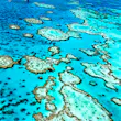 An aerial shot of patches of coral in a clear blue-green sea.