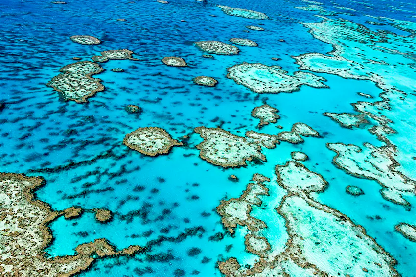 Great Barrier Reef An aerial shot of patches of coral in a clear blue-green sea.