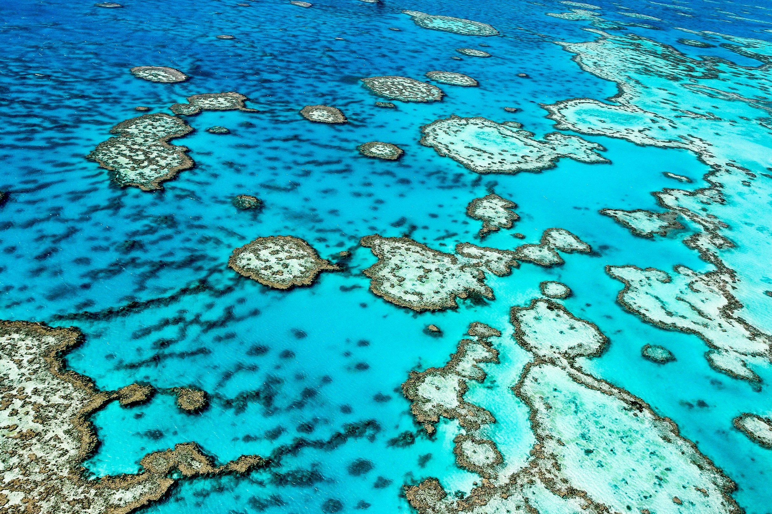 An aerial shot of patches of coral in a clear blue-green sea.