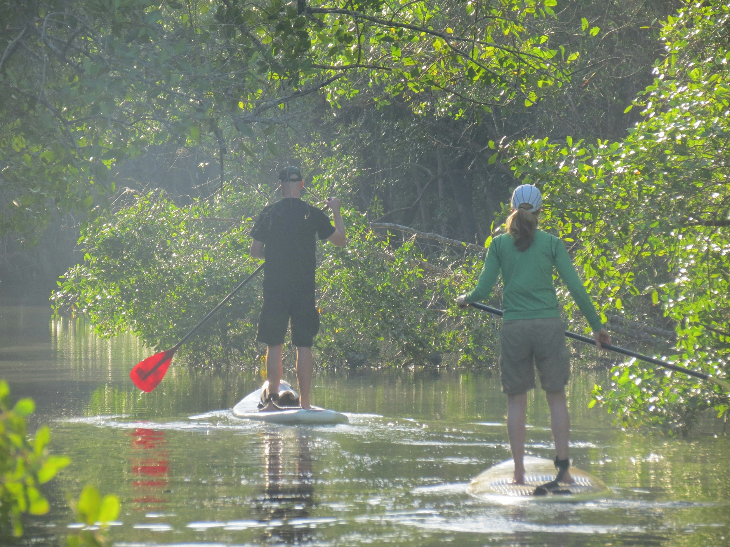 Two paddlers work their way along a narrow channel/tunnel in a dense mangrove forest.