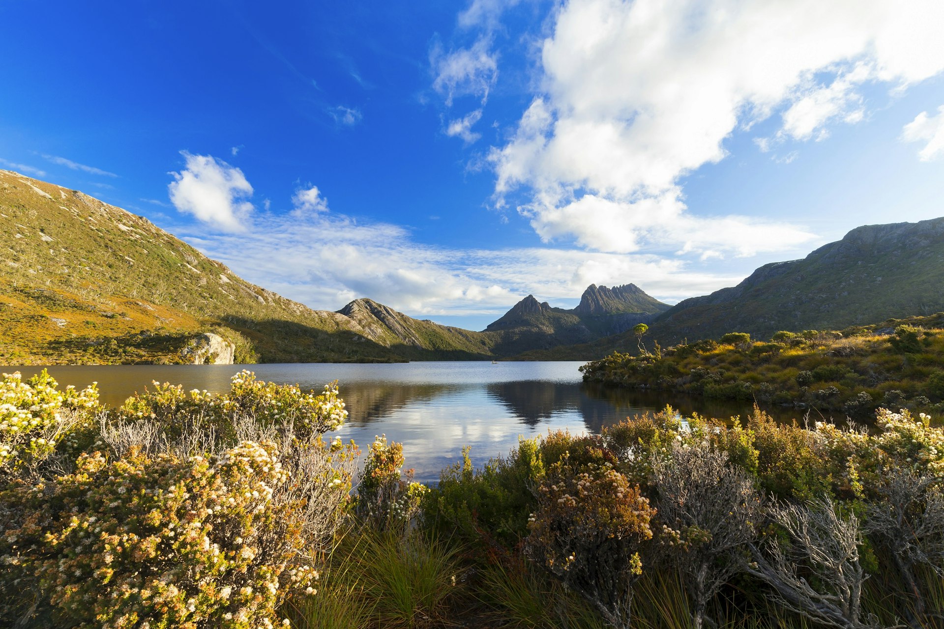 Dove Lake is a corrie lake formed by glaciation; its fringed with heather and green sloping hills. In the distance is the jagged ridge of Cradle Mountain.