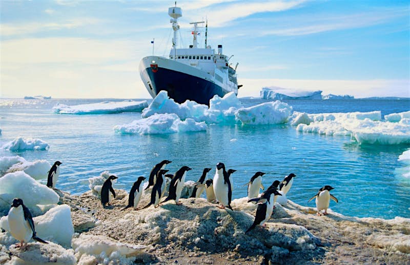 A small expedition cruise ship sits anchored off the shore of Antarctica; in the foreground are penguins on the shore.