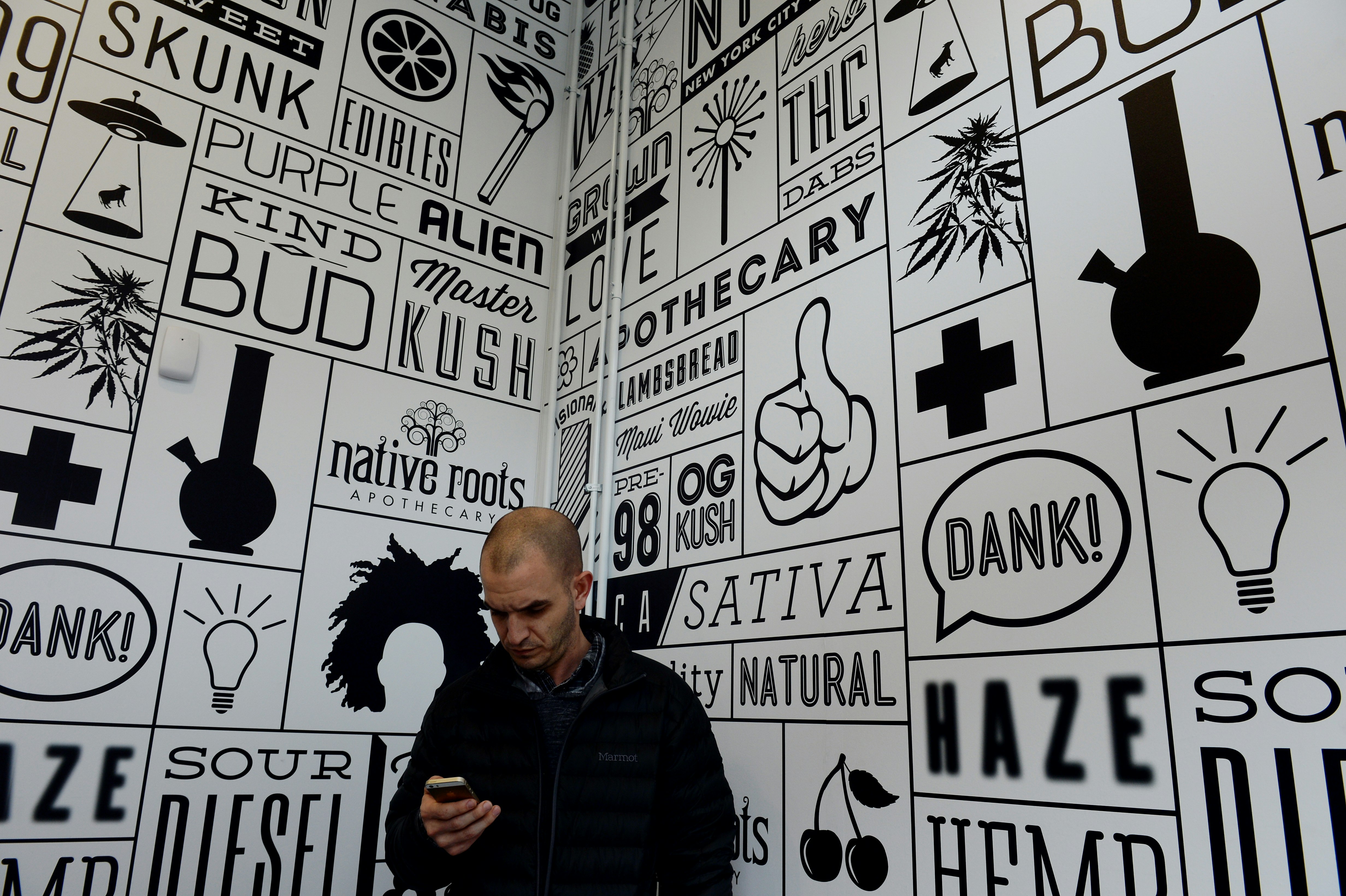 A gentleman in a black pullover looks at his phone while he waits in the lobby of the Native Roots dispensary in Denver, Colorado. Behind him is a large graphic mural with cartoon-style bongs, lightbulbs, flying saucers, matches, and slogans like "Dank!" and "Sour Diesel"