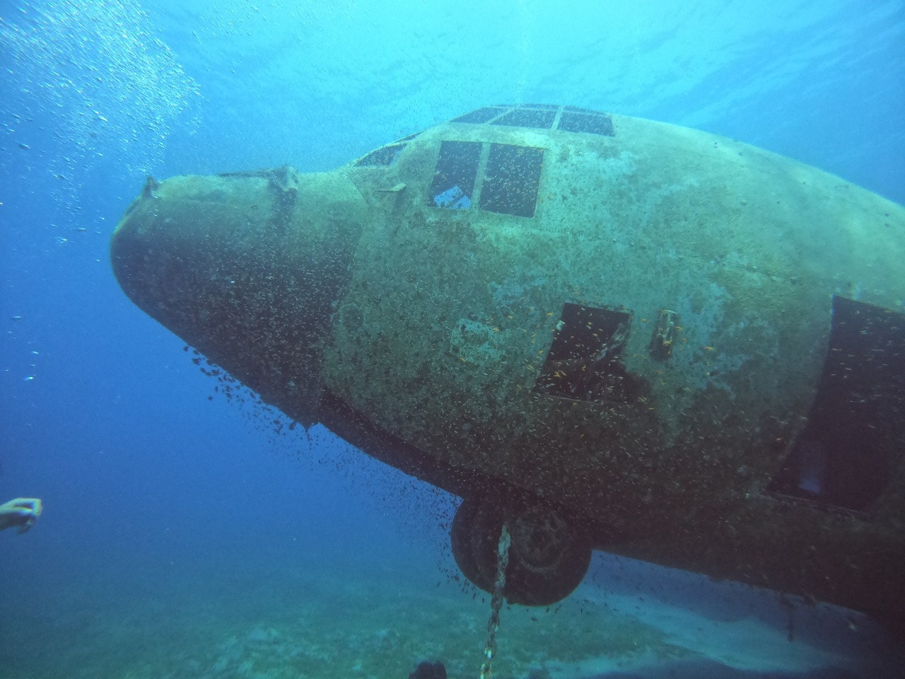 A wreck of a plane underwater.