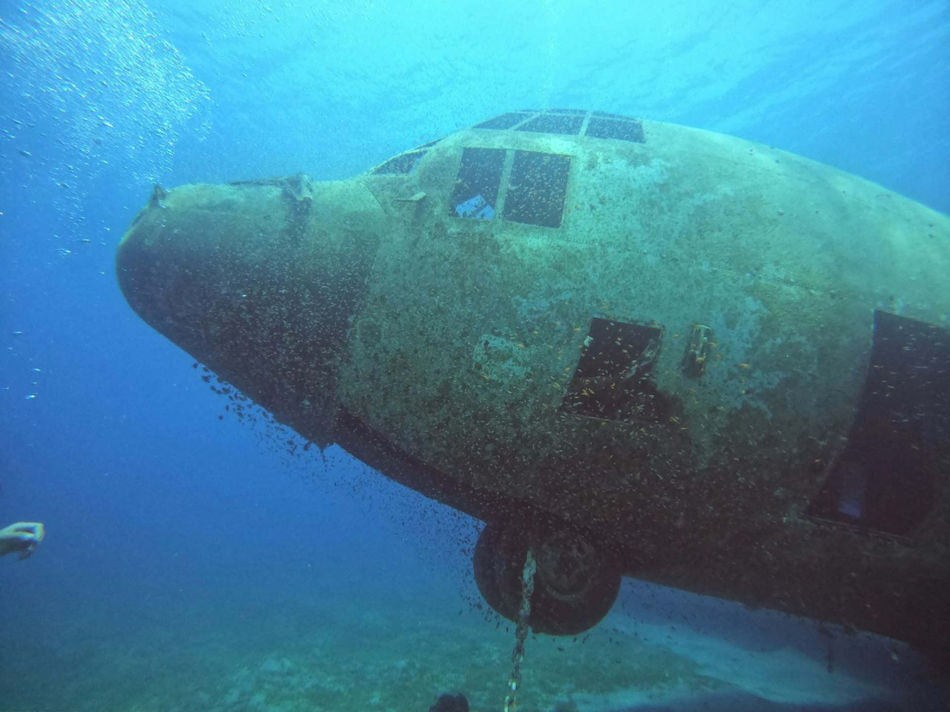 A wreck of a plane underwater.