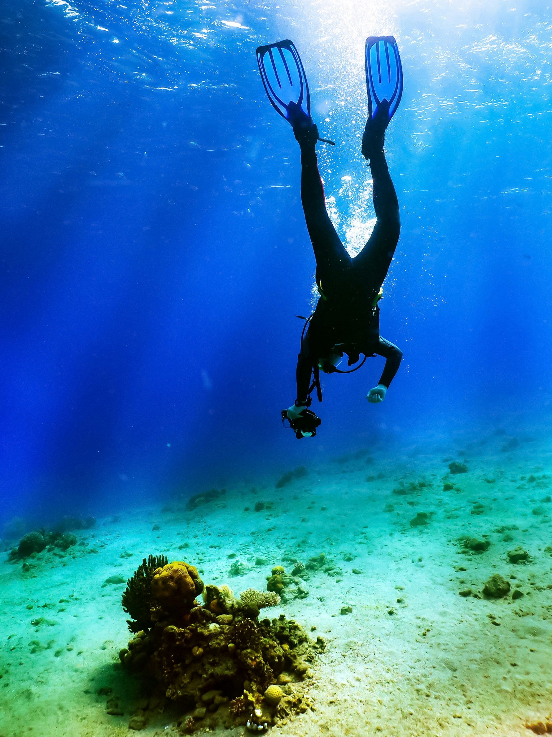 A diver in full scuba gear has their head down in the direction of a patch of coral on the seabed.