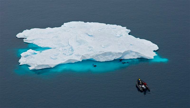 A group of divers/snorkellers explore the edges of a small iceberg in Antarctica.