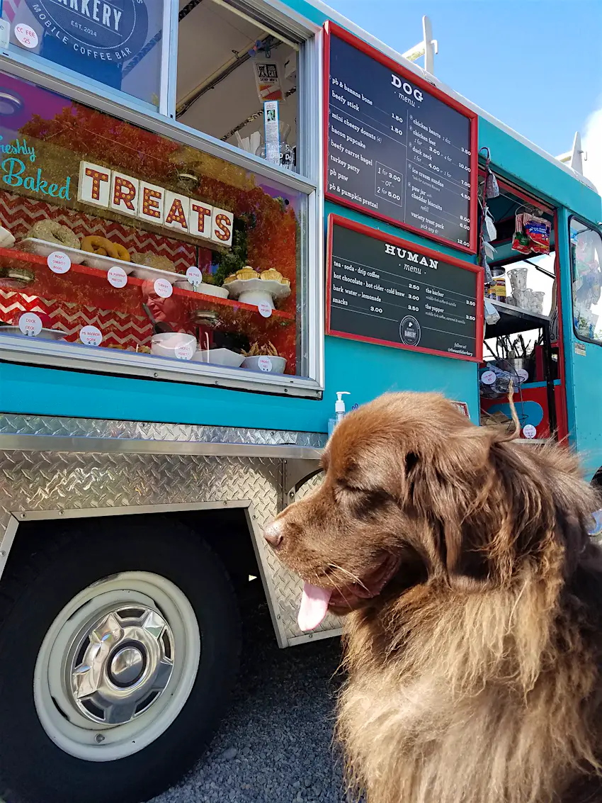 These 6 Dog friendly Food Trucks Are Worth Sniffing Out Lonely Planet these-6-dog-friendly-food-trucks-are-worth-sniffing-out-lonely-planet