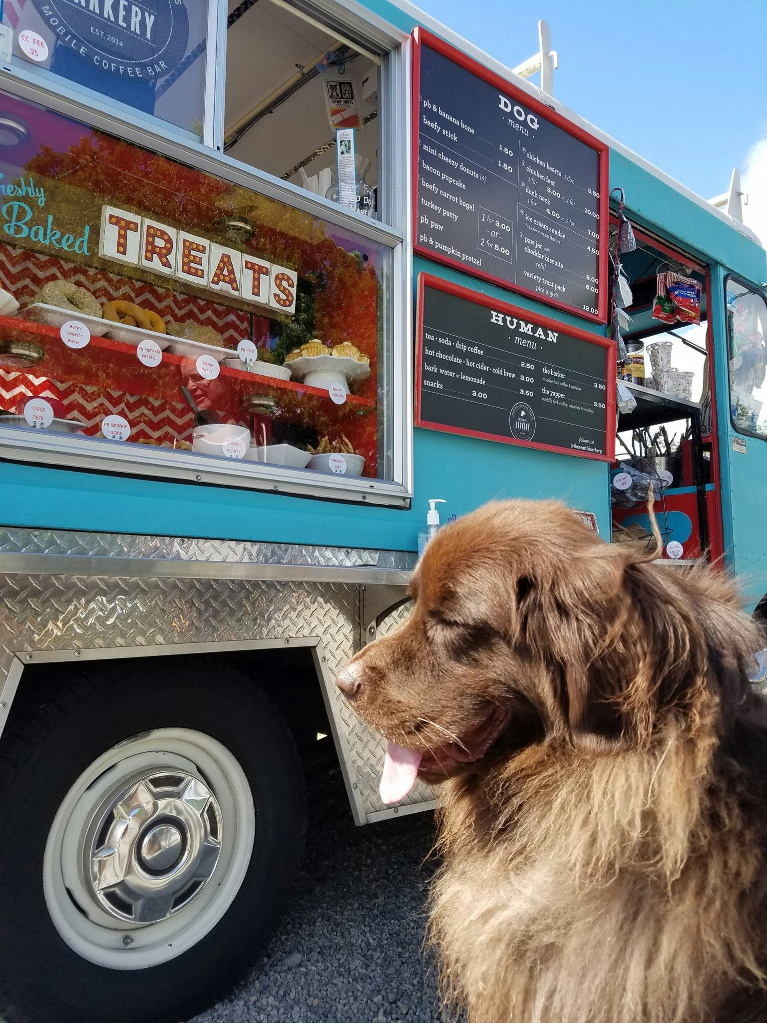 A large brown dog sits contentedly by Seattle Barkery's bright blue food truck. The display is stacked neatly with different dog treats.
