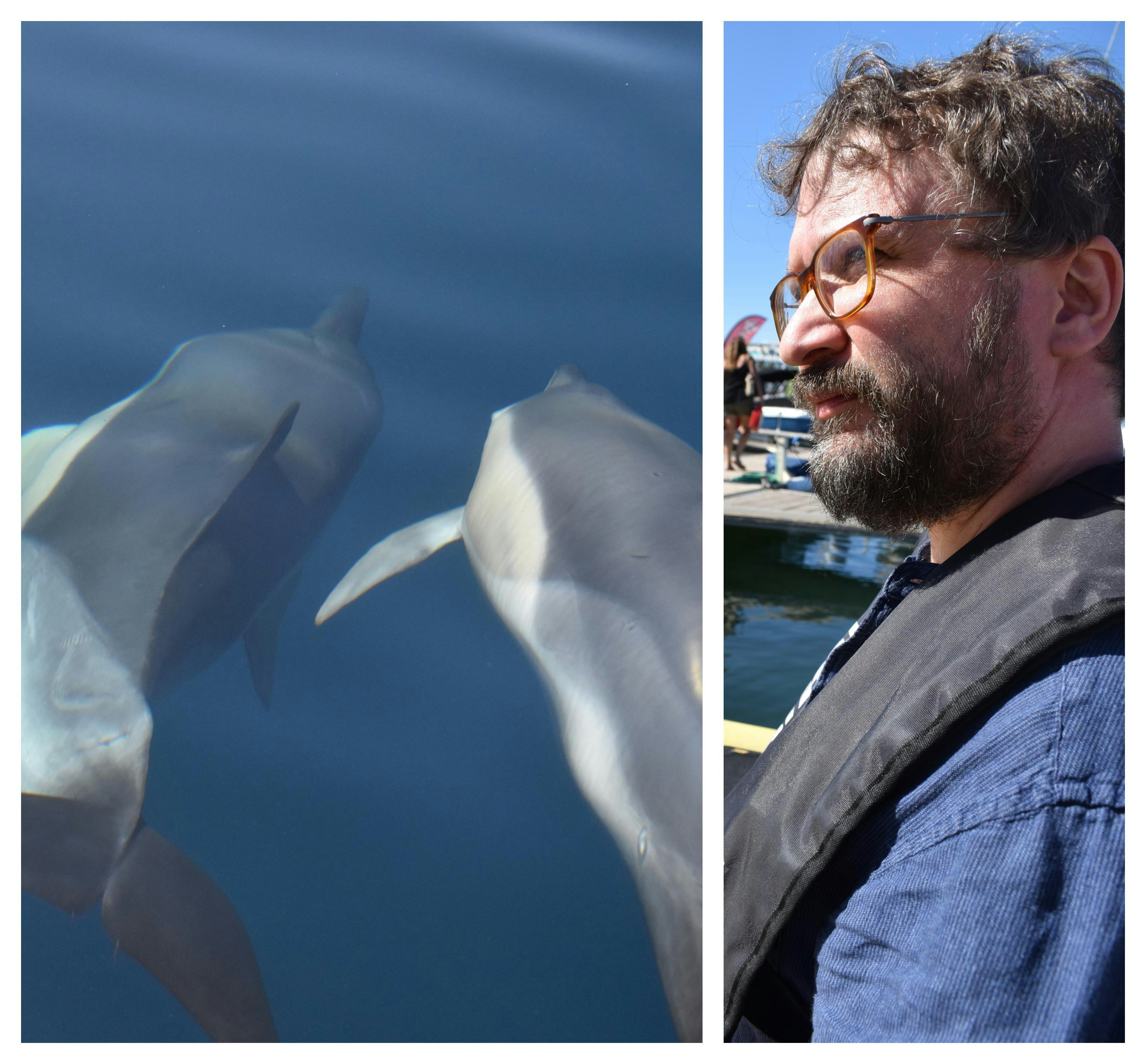 On the left, two dolphins swim in the water. On the right a close-up of the author in a boat wearing a life jacket.