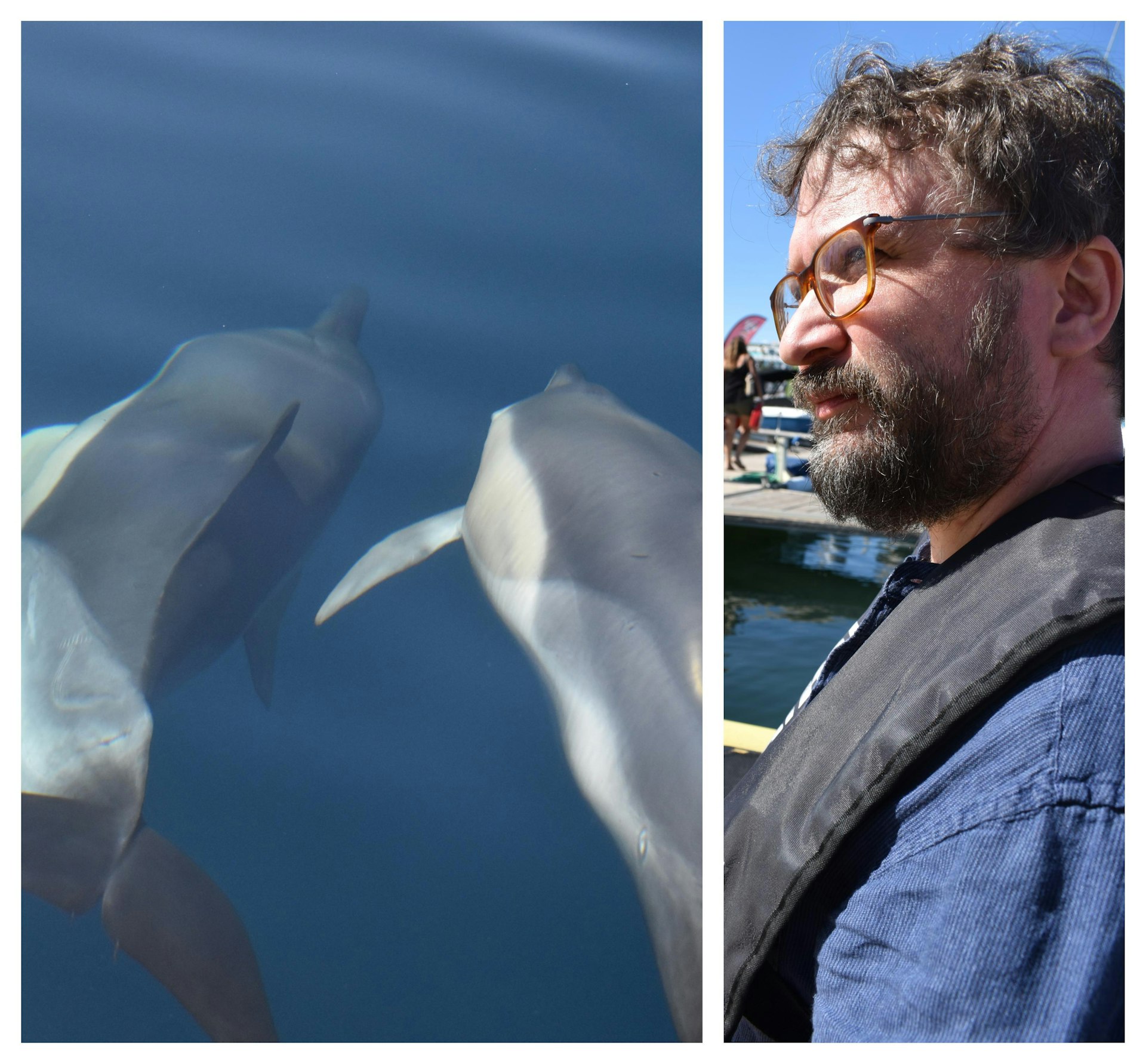 On the left, two dolphins swim in the water. On the right a close-up of the author in a boat wearing a life jacket.