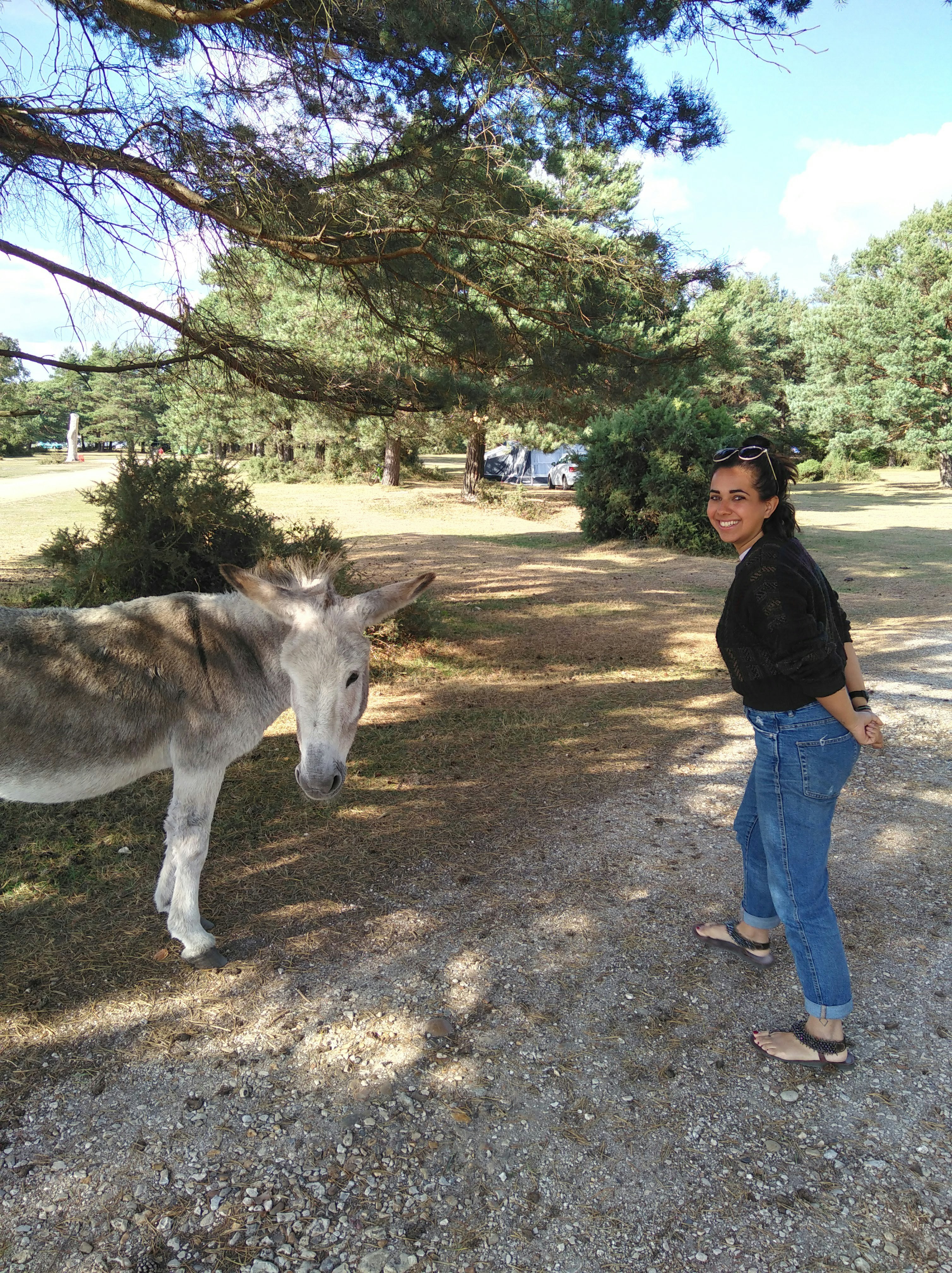 The author pose with a donkey taking shade under a tree on a sunny day; New Forest spending diary