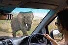 self drive safari zambia