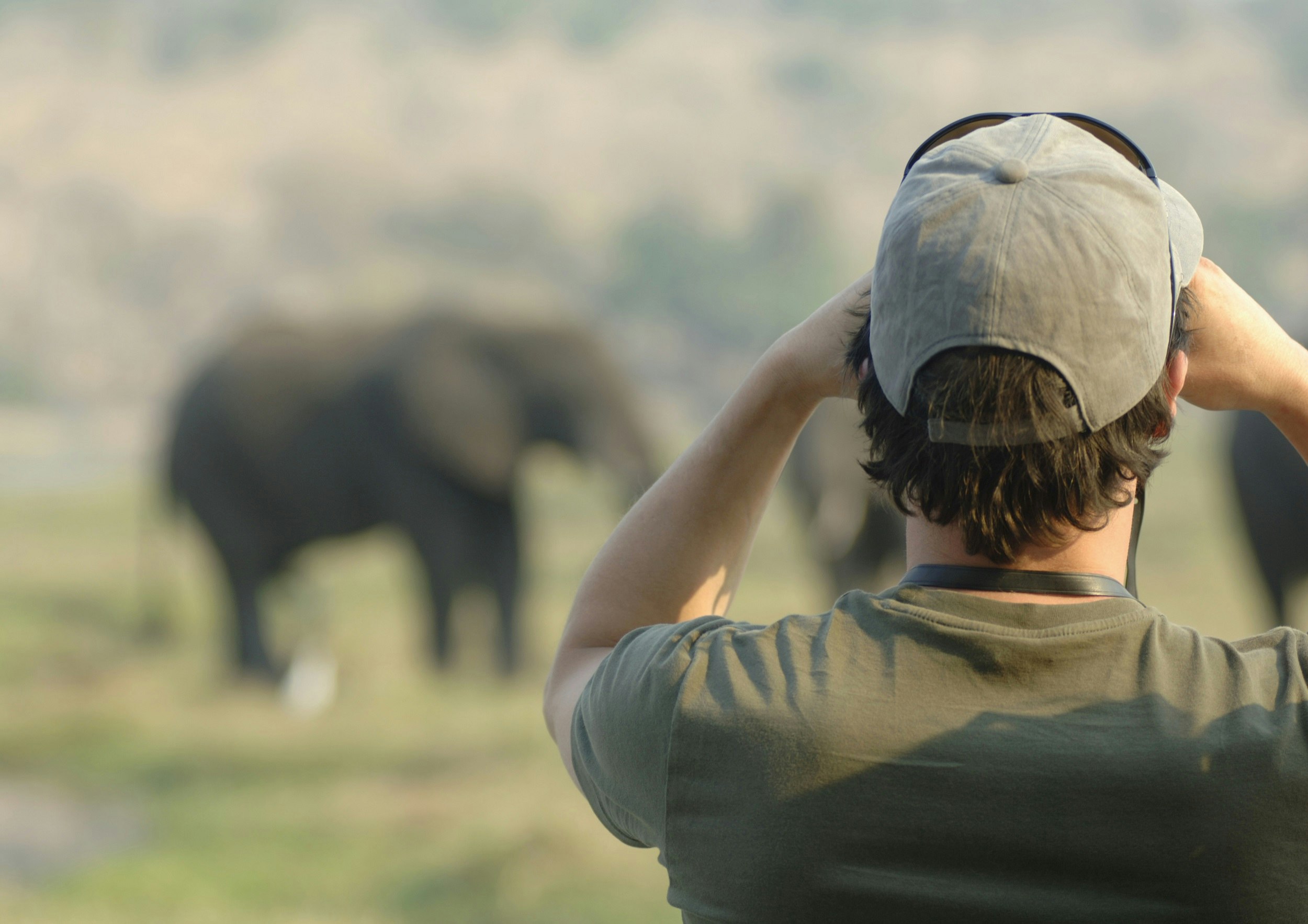 A safari guide (his back to the camera) looks through a pair of binoculars to a distant elephant on a grassy plain.