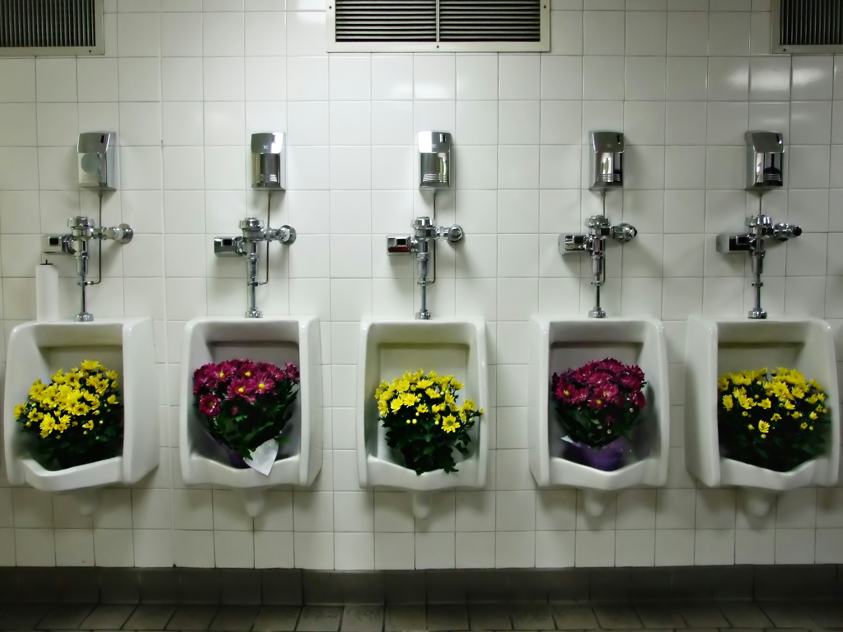 Five white urinals have been used as planters for tongue-in-cheek floral displays.