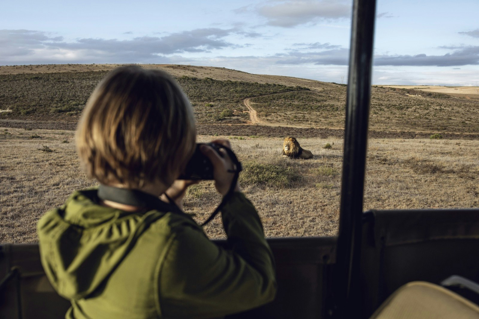 girl taking photo of lions.jpg