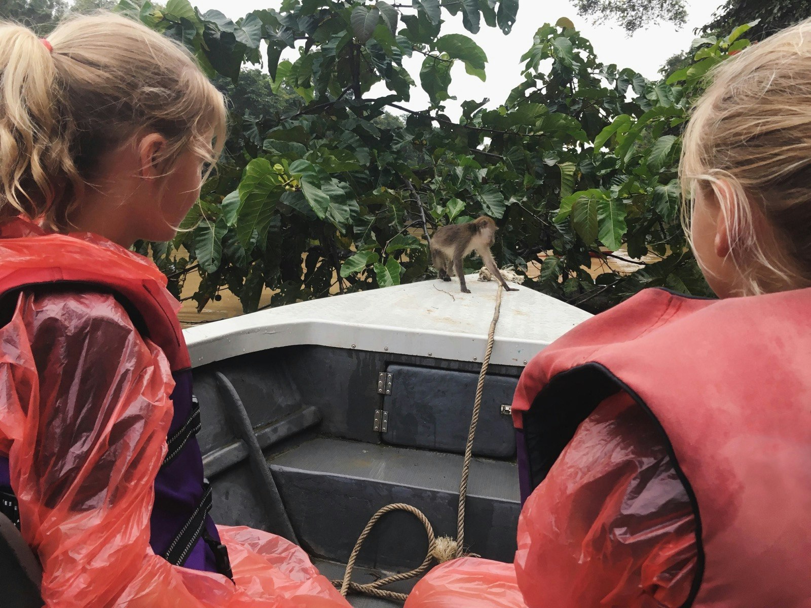 girls watch monkey jump onto their boat in Borneo