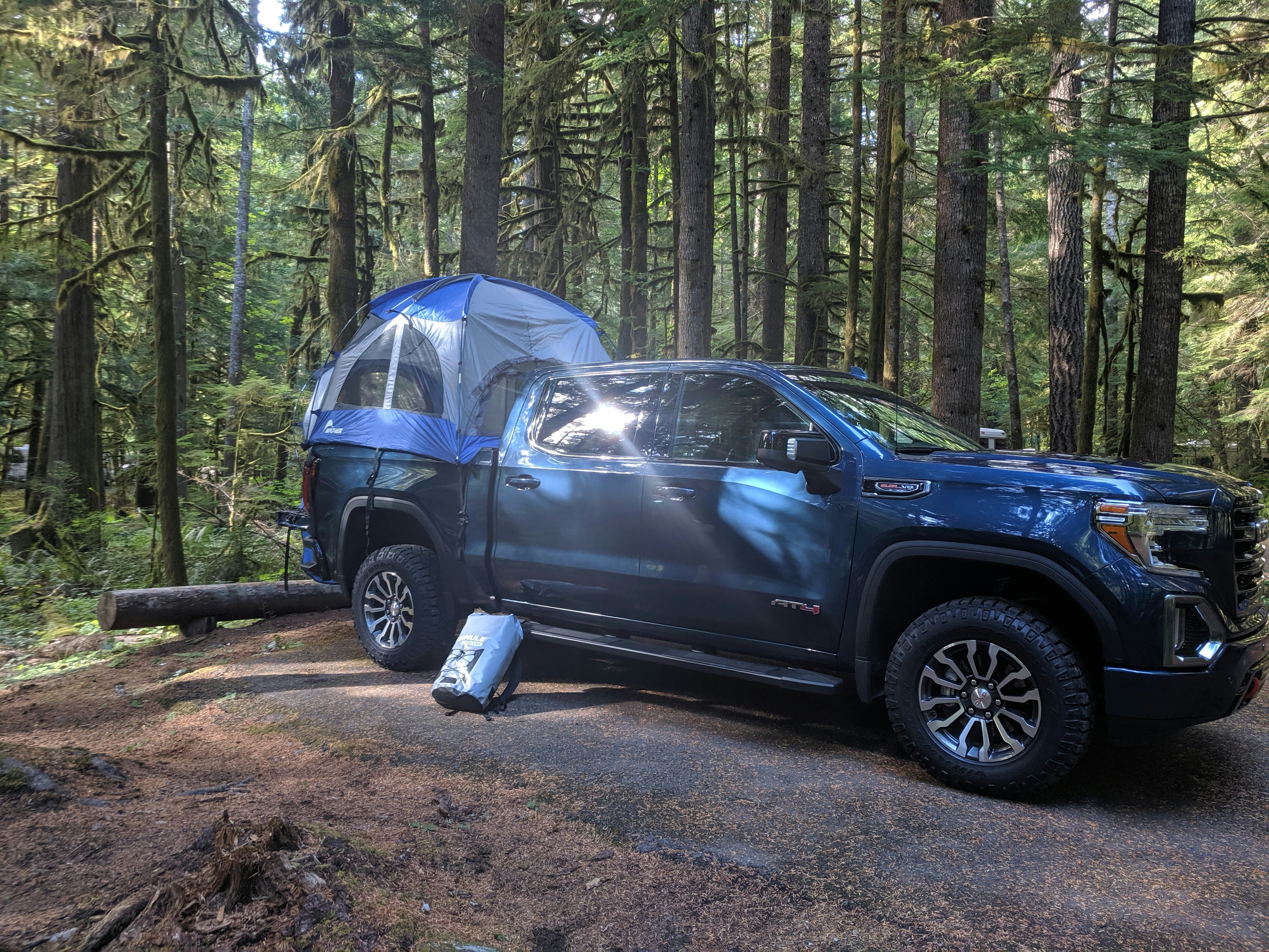 A dark blue 2019 GMC Sierra truck with a brighter blue and grey truck tent mounted in the bed sits in a green forest in Washington State