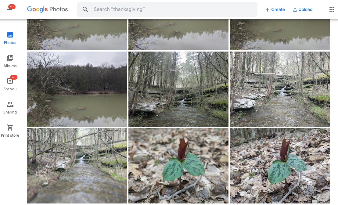 A screen shot of a Google Photos archive full of photos of outdoor scenes and spring wildflowers, including trillium