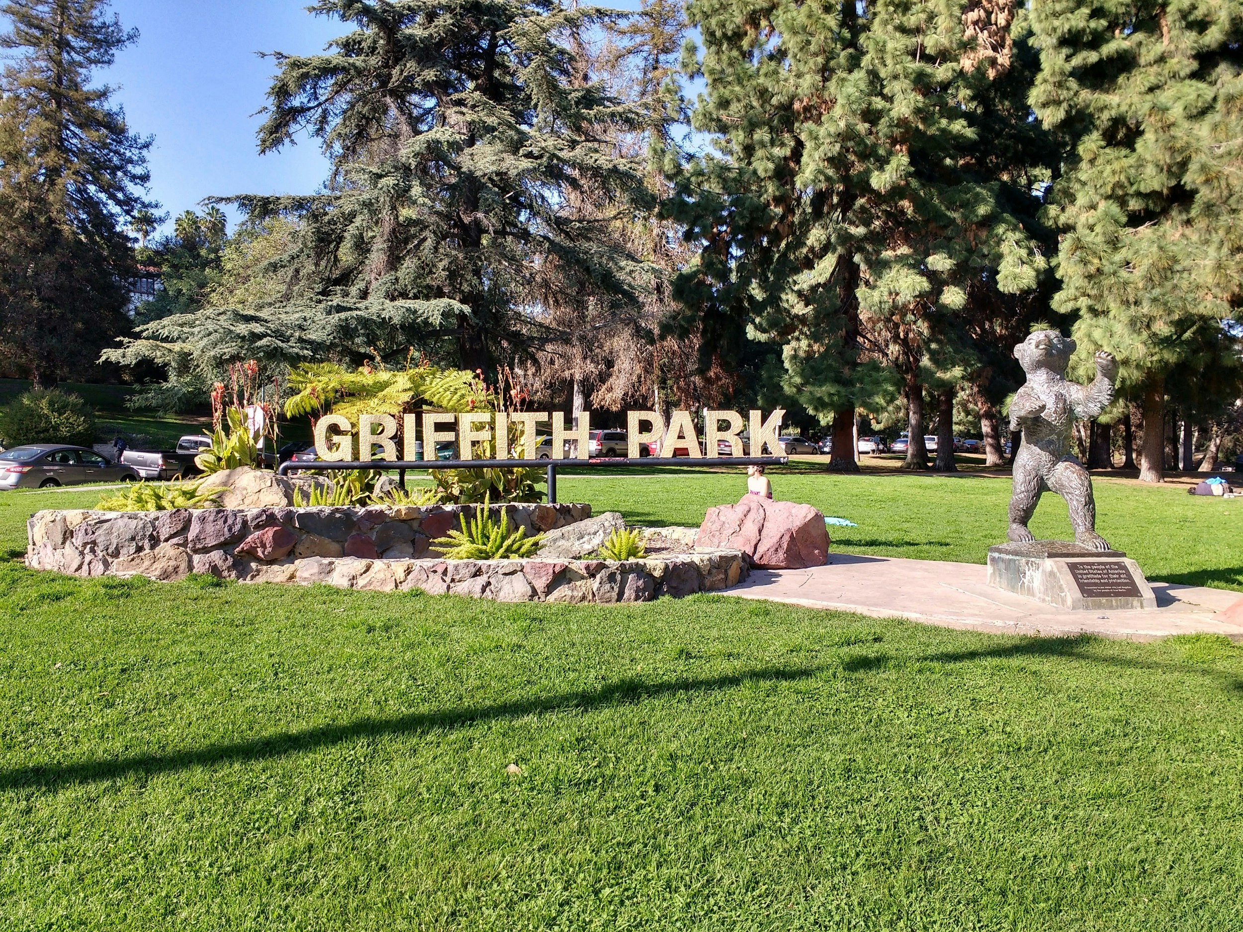 A Griffith Park sign of individual block letters stands over a rock-garden surrounded by lawns and backed by trees; a bronze bear statue stands nearby.