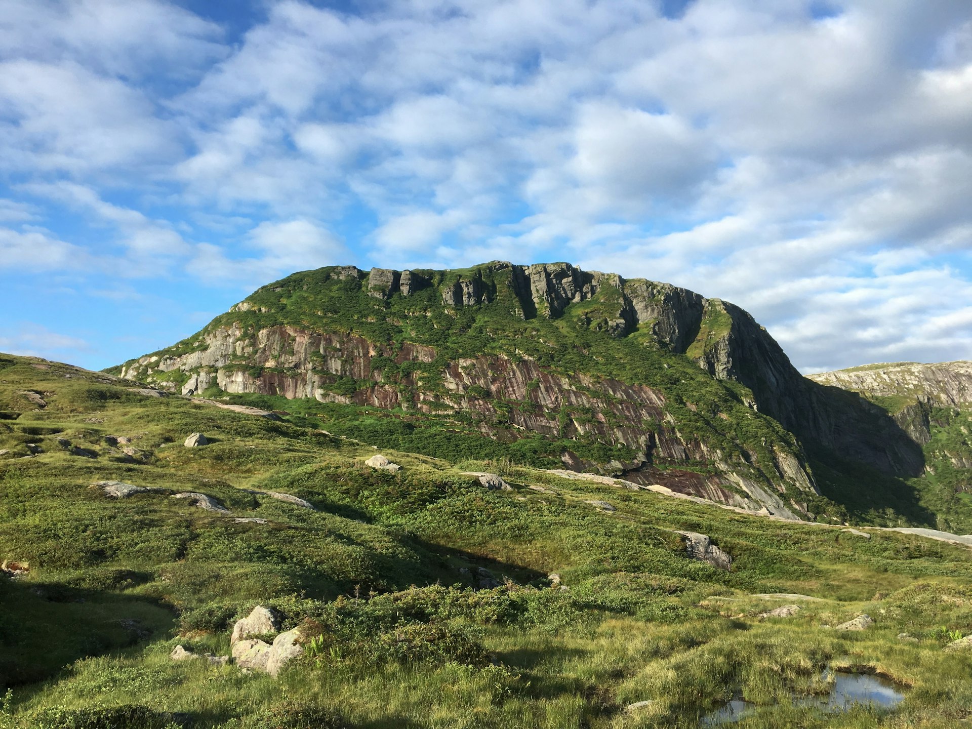 Lush green grass and moss covers rocky, rolling mountainsides in Gros Mourne National Park.