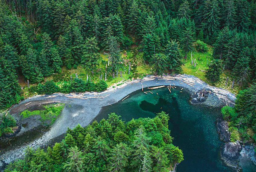 haida gwaii.jpg An aerial shot of a deep blue river running through a green forest.
