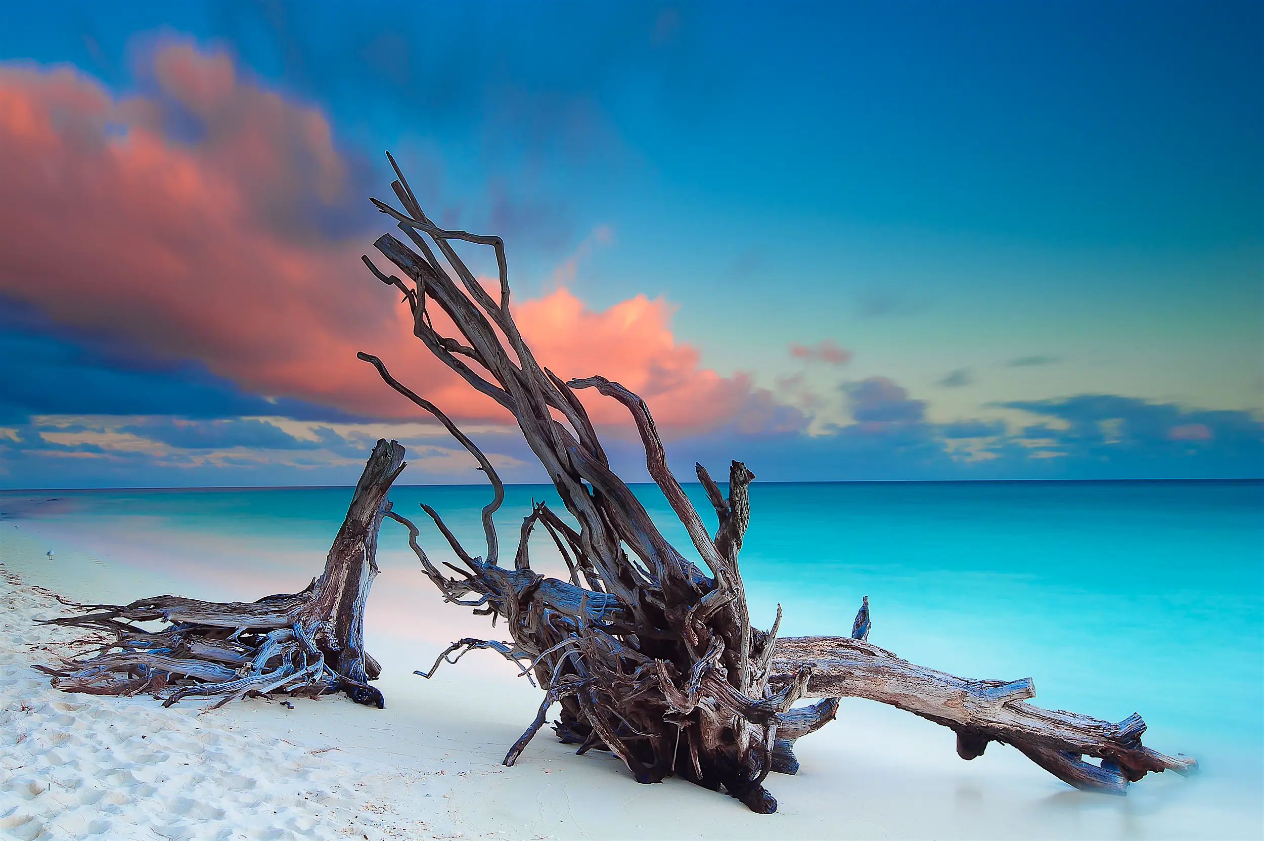 heron-island Two pieces of driftwood dominate the shot, surrounded by pristine white sand with turquoise sea stretching into the distance.