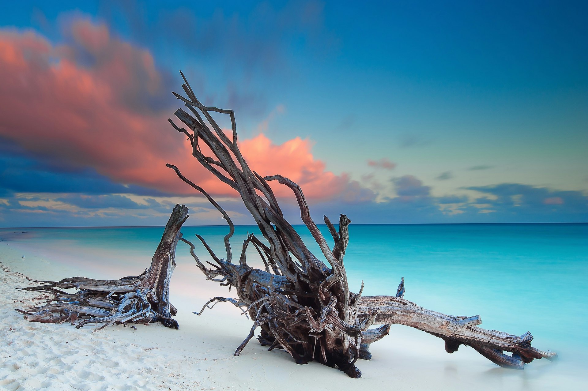 Two pieces of driftwood dominate the shot, surrounded by pristine white sand with turquoise sea stretching into the distance.