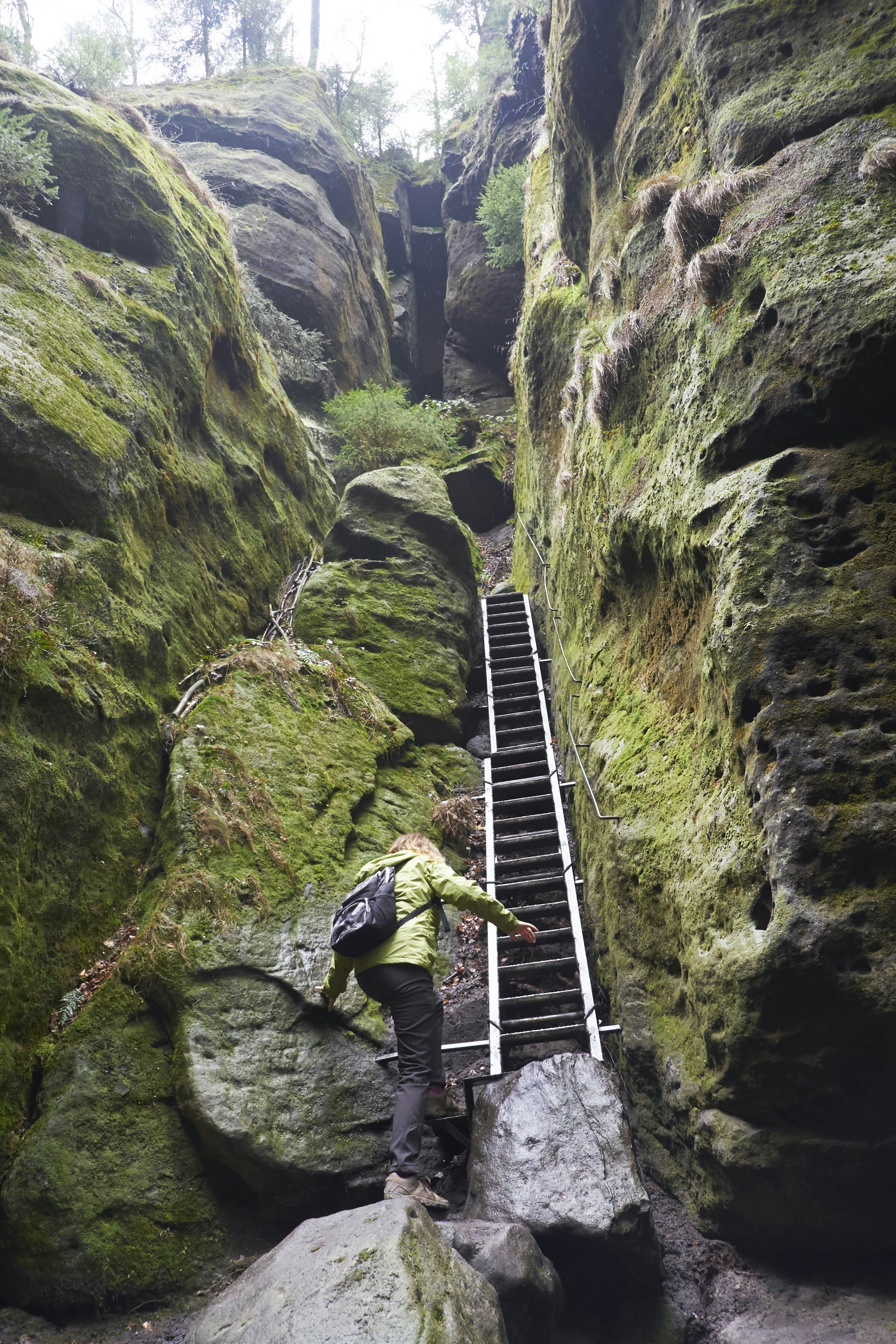 A woman wearing a backpack and goretex outdoor clothing approaches a steep ladder that climbs up moss-covered rocks in a gulley within Saxon Switzerland National Park.
