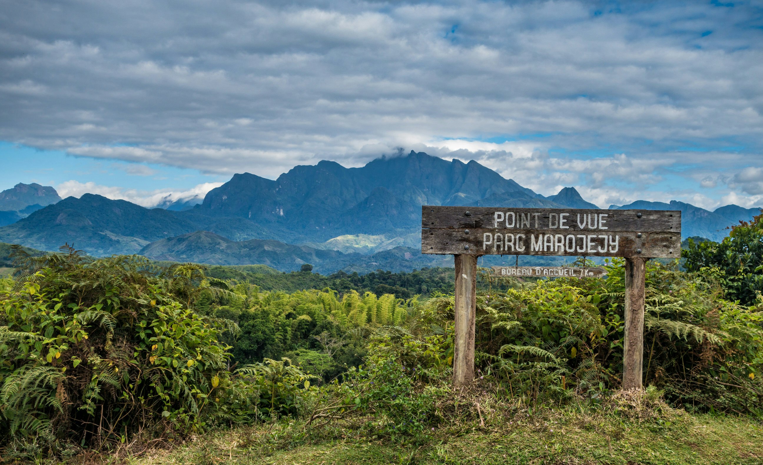 A well-worn wooden park sign stands in front of ferns, with forests and impressive mountains in the background.